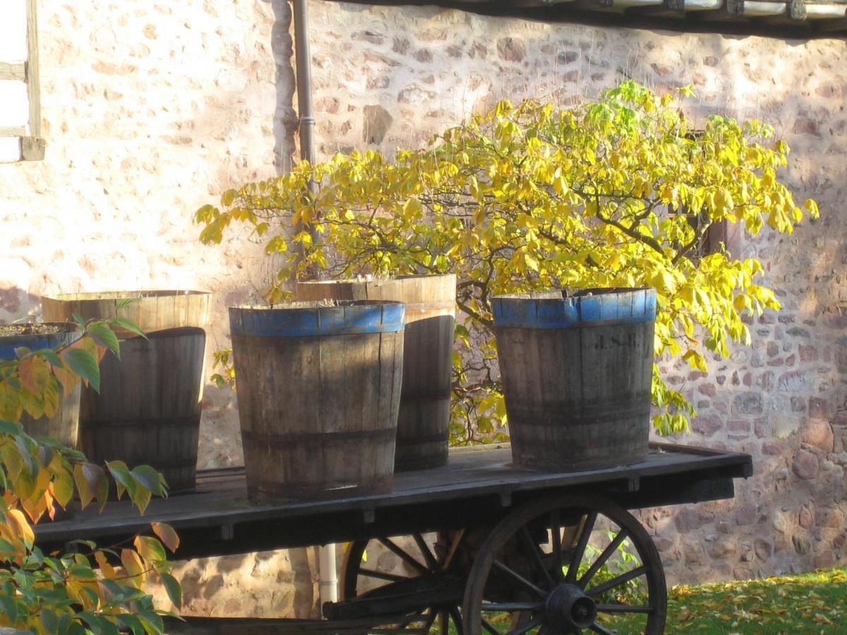 Les Hortensias Sainte-Marie-aux-Mines Exteriér fotografie